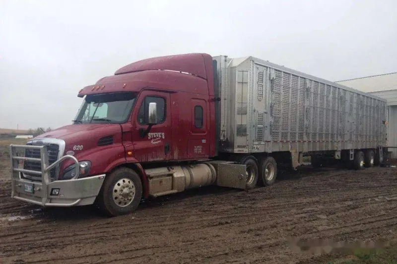 livestock-transportation-4 livestock-transportation-4