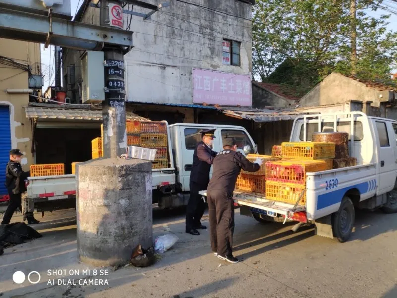 livestock-and-poultry-1 livestock-and-poultry-1